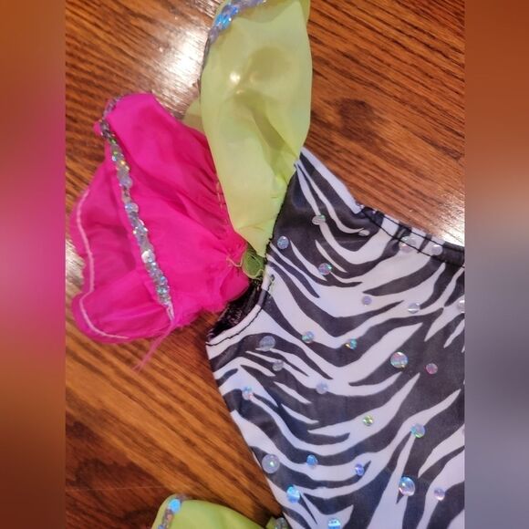 COSTUME Gallery Girls Dance Costume Cha Cha  Small Child - Picture 4 of 5